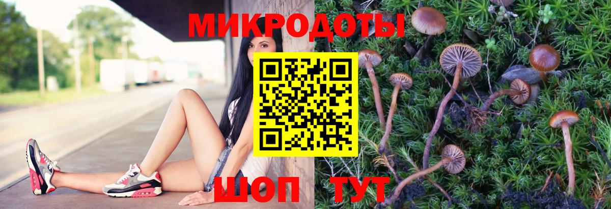 Псилоцибиновые грибы ЛСД  купить наркотик  Псилоцибиновые грибы Cubensis  Родники  Вход с VPN 