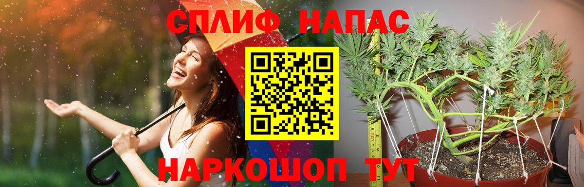 Шишки марихуана OG Kush  Марихуана White Widow  Шишки марихуана семена  Вход с VPN  Родники 